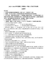 河北省沧州市沧州十校2023-2024学年高一下学期3月月考生物试题（含答案）