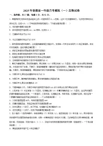 河南省南阳市方城县方城县第一高级中学2024-2025学年高一下学期3月月考生物试题（含答案）