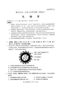 广东省梅州市2023-2024学年高三下学期总复习质检试题（一模）生物试卷（含答案）