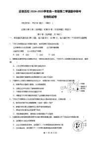 福建省厦泉五校2024-2025学年高一下学期4月期中考试 生物 含答案