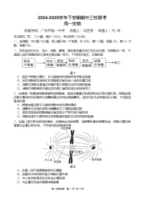 广东省广州市三校2024-2025学年高一下学期期中考试 生物 含答案