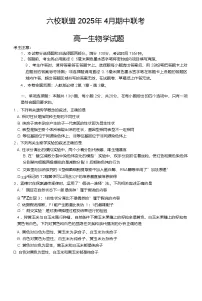 河北省保定市六校联盟2024-2025学年高一下学期4月期中考试 生物 含答案
