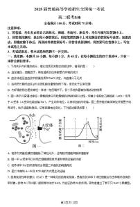 河南青桐鸣2023-2024学年高二下学期3月联考 生物试卷（含答案）