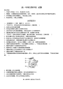 浙江省温州新力量联盟2024-2025学年高一下学期4月期中联考生物试卷（Word版附答案）