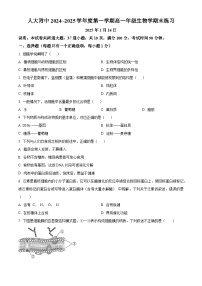 北京市中国人民大学附属中学2024-2025学年高一上学期1月期末生物试题（原卷版+解析版）
