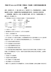 广东省河源市河源中学2024-2025学年高一下学期3月月考生物试题（原卷版+解析版）