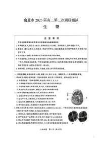 江苏省苏北八市2025届高三下学期5月三模试题（南通、泰州、扬州、徐州、连云港、淮安、宿迁、盐城） 生物 PDF版含答案