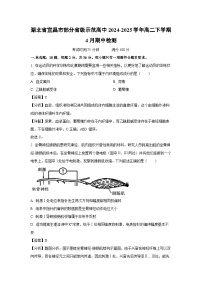 湖北省宜昌市部分省级示范高中2024-2025学年高二下学期4月期中检测 (1)生物试卷（解析版）