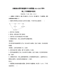 安徽省合肥市普通高中六校联盟2024-2025学年高二下学期期中联考生物试卷（解析版）