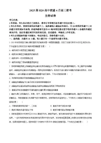 河南省H20高中联盟2024-2025学年高三下学期4月联考生物试卷（原卷版+解析版）
