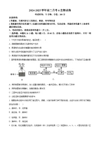 河南省开封市五县联考2024-2025学年高二下学期3月月考生物试题（原卷版+解析版）