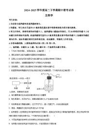 河南省商丘市九师联盟期2024-2025学年高二下学期4月期中生物试题（原卷版+解析版）