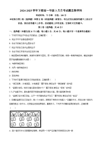 河南省郑州市实验高级中学2024-2025学年高一下学期3月月考生物试题（原卷版+解析版）