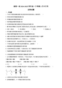 河南省驻马店市新蔡县第一高级中学2024-2025学年高一下学期3月半月考生物试题（原卷版+解析版）