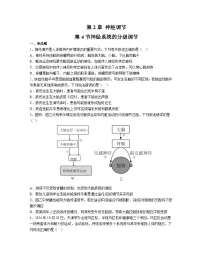 高中生物人教版 (2019)选择性必修1神经系统的分级调节课时训练