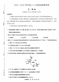 2025届河南省河南青桐鸣高三9月质量检测考-生物试卷（含答案）