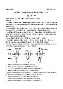 广东省广州市2024届普通高中毕业班综合测试（一）生物试题（含答案）