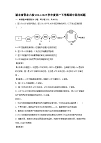 湖北省鄂北六校2024-2025学年度高一下学期期中联考生物试题（解析版）