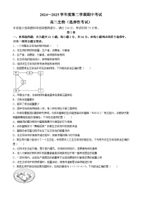 广东省茂名市电白区2024-2025学年高二下学期期中考试 生物  含答案