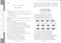 2025届河南省新乡市高三下学期三模生物试题（高考模拟）