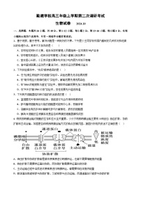 广东省普宁市勤建学校2024-2025学年高三上学期10月第二次调研考试生物试题
