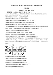 江西省宜春市丰城市第九中学2024-2025学年高一下学期期中考试生物试题（原卷版+解析版）