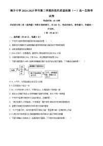 天津市南开区天津市南开中学2024-2025学年高一下学期4月期中生物试题（原卷版+解析版）