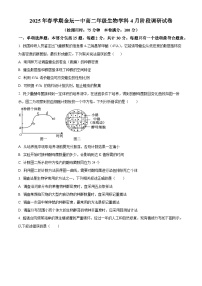 江苏省常州市金坛区第一中学2024-2025学年高二下学期4月月考生物试题（原卷版+解析版）