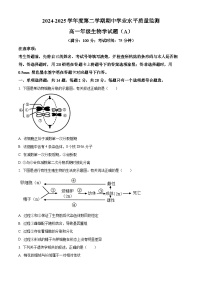 江苏省连云港市赣榆区2024-2025学年高一下学期4月期中生物试题（原卷版+解析版）