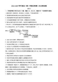 江苏省南京市第二十九中学2024-2025学年高二下学期3月月考生物试题（原卷版+解析版）