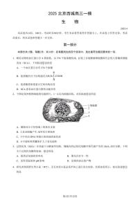 北京市西城区2025届高三一模生物试题（含答案）