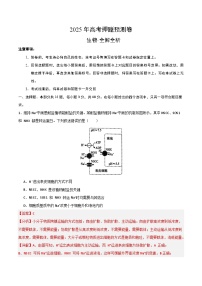 2025年高考押题预测卷：生物（河南卷01）（解析版）