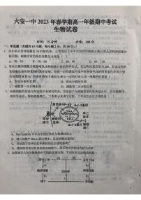 安徽省六安第一中学2022-2023学年高一下学期期中考试生物试卷（含答案）