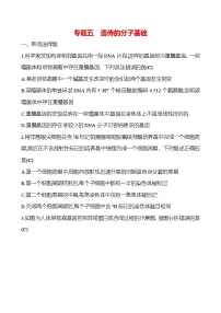2025版高考生物热点题型与考点专练专题五遗传的分子基础试题（Word版附答案）