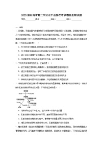 2025届河南省高三学业水平选择性考试模拟生物试题（无答案）