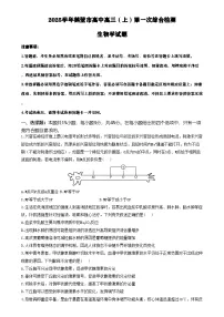 河南省鹤壁市高中2024-2025学年高三上学期第一次综合检测生物试题（含答案）