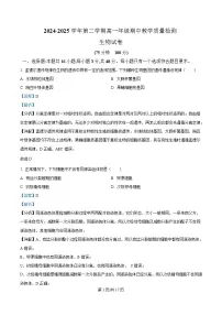 安徽省阜阳市临泉县田家炳实验中学（临泉县教师进修学校）2024-2025学年高一下学期4月期中生物试题 含解析