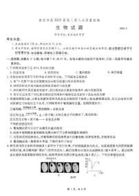 重庆市南开中学2025届高三下学期5月质量检测生物试卷（PDF版附解析）
