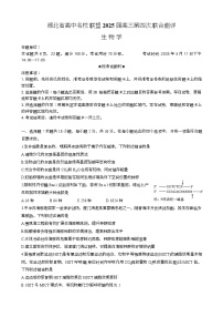 湖北省高中名校联盟2025届高三下学期5月第四次联合测评生物试卷（Word版附答案）