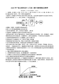 广西示范性高中2024-2025学年高二下学期4月期中考试 生物 含答案