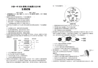 安徽省六安第一中学2024-2025学年高三上学期第三次月考（11月）生物试题（含答案）