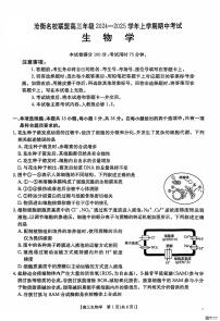 河北省沧衡名校联盟2024-2025学年高三上学期11月期中考试 生物试题（含答案）
