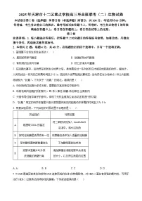 2025届天津市十二区重点学校高三联考（二）生物试题（原卷版+解析版）（高考模拟）