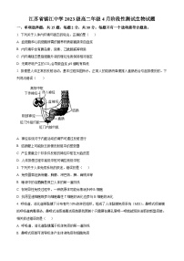 江苏省镇江中学2024-2025学年高二下学期4月阶段性测试生物试题（原卷版+解析版）