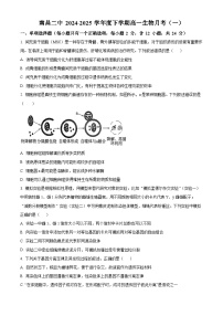 江西省南昌市第二中学2024-2025学年高一下学期3月月考生物试题（原卷版+解析版）