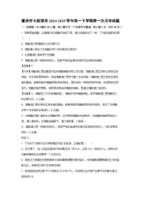 重庆市七校联考2024-2025学年高一下学期第一次月考生物试题（解析版）