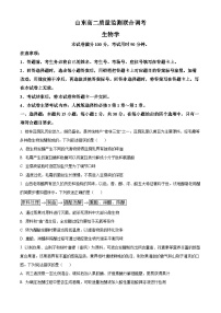 山东省菏泽市东明县第一中学2024-2025学年高二下学期3月月考生物试题（原卷版+解析版）