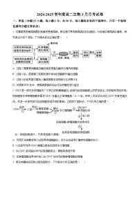 山东省邹城市第一中学2024-2025学年高二下学期3月月考生物试题（原卷版+解析版）