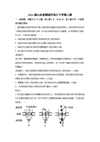 2024届山东省聊城市高三下学期二模生物试卷（解析版）