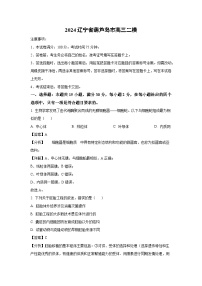 2024辽宁省葫芦岛市高三二模生物（解析版）